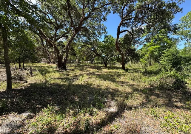 Homes for sale in Dade City, FL | Tannahill St, Dade City, FL 33523 | MLS# TB8516374