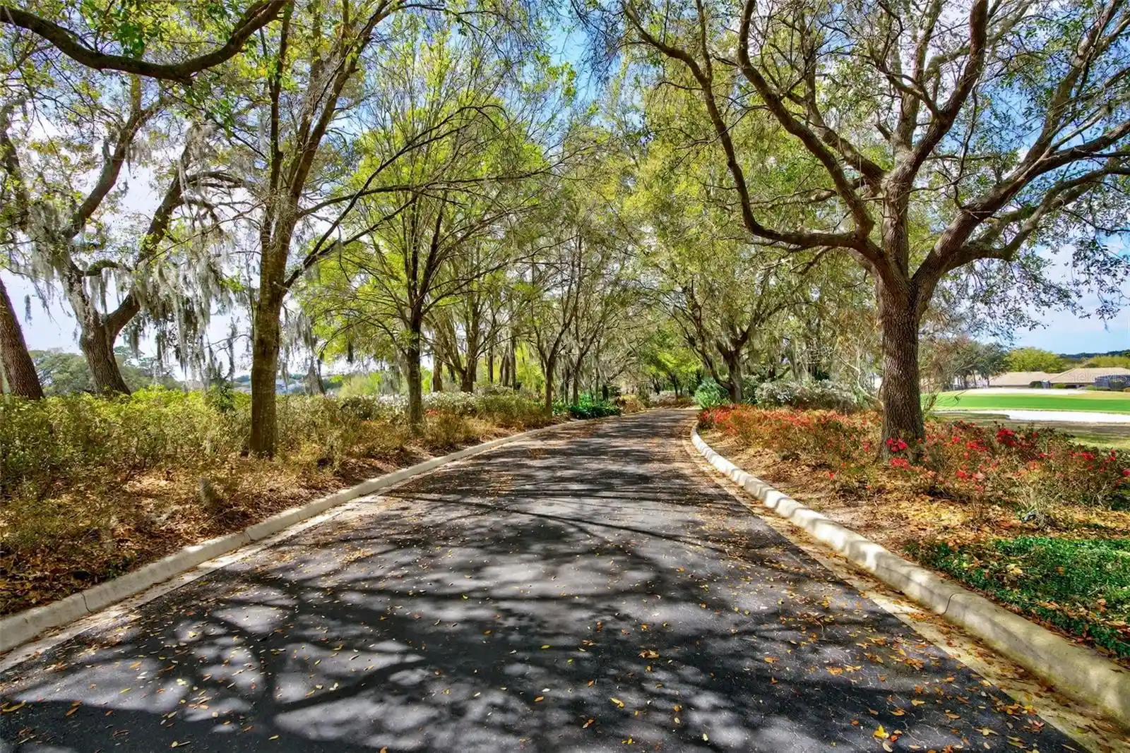 Listing Photo 47 - Condo for sale in 1105 W Pointe Vis Path located at 1105 W Pointe Vis Path, HERNANDO, FL 34442 - Unit #43
