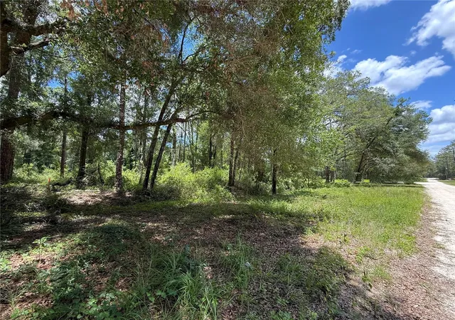 3rd image of Sw 53Rd Pl, Ocala, FL 34481 | MLS# OM726146