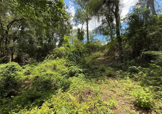 5th image of Sw 53Rd Pl, Ocala, FL 34481 | MLS# OM726146