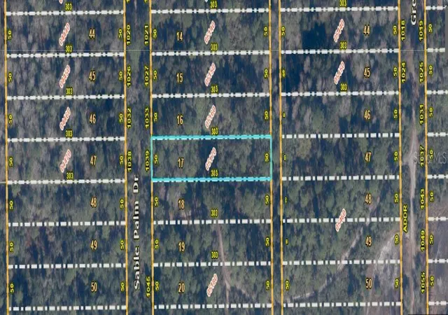 Photo 1 of Land for sale at 1039 Sable Palm Dr, Christmas, FL 32709 | MLS# O6414478 | Listing updated on 2026-06-15
