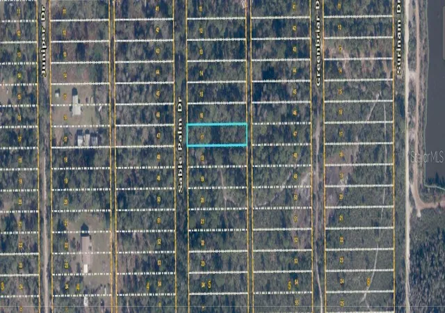 Photo 3 of Land for sale at 1039 Sable Palm Dr, Christmas, FL 32709 | MLS# O6414478 | Listing updated on 2026-06-15