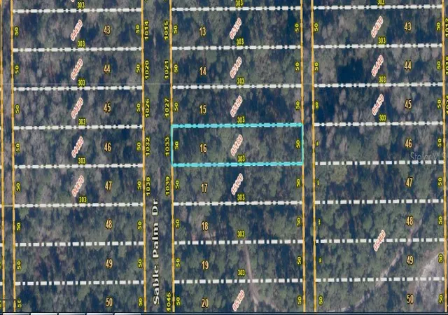 Photo 1 of Land for sale at 1033 Sable Palm Dr, Christmas, FL 32709 | MLS# O6414481 | Listing updated on 2026-06-15