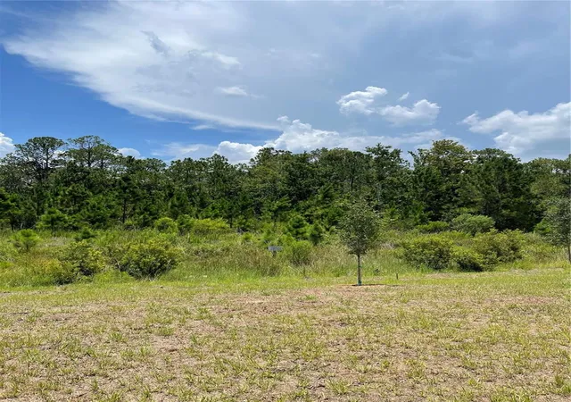 Photo 3 of Single family home for sale at 7630 Bent Tree Loop, Harmony, FL 34773 | MLS# O6414513 | Listing updated on 2026-09-02