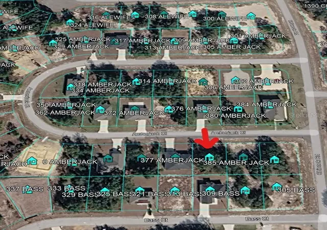 Homes for sale in Kissimmee, FL | 377 Amberjack Ct, Kissimmee, FL 34759 | MLS# C7527017