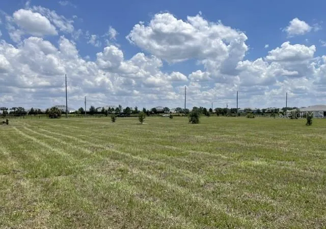1st image of 15202 Patterson Rd, Odessa, FL 33556 | MLS# TB8516518