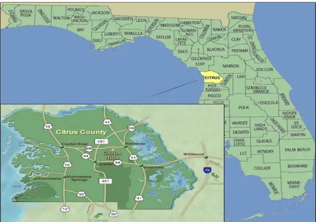 7th image of 685 W Hallam Dr, Dunnellon, FL 34434 | MLS# OM726181