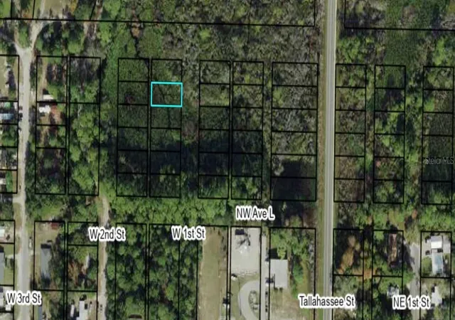 Photo 1 of Land for sale at 1309 W 1st Street, Carrabelle, FL 32322 | MLS# A4696287 | Listing updated on 2026-08-07