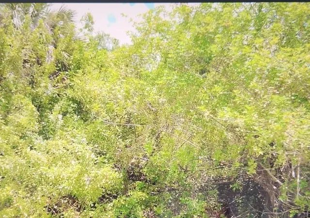 Photo 1 of Land for sale at 267 Capatola St, Port Charlotte, FL 33948 | MLS# TB8516690 | Listing updated on 2026-07-29