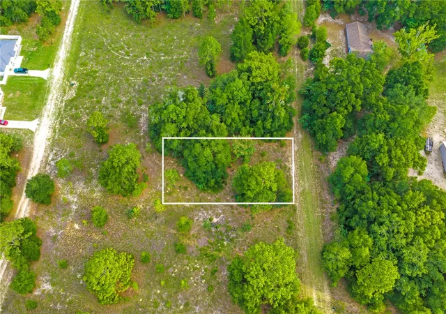 Photo 3 of Land for sale at 000 Sw 146 Court, Ocala, FL 34481 | MLS# OM726182 | Listing updated on 2026-06-15