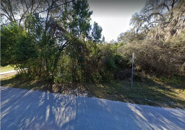 Photo 3 of Land for sale at Ridge Manor Blvd, Dade City, FL 33523 | MLS# TB8516756 | Listing updated on 2026-08-11