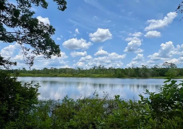 Homes for sale in Lake Helen, FL | Vista St, Lake Helen, FL 32744 | MLS# O6414776