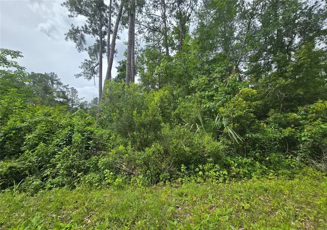 1st image of 320 Sequoia Dr, Ocklawaha, FL 32179 | MLS# OM726213
