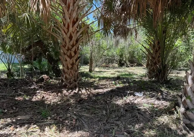 2nd image of 110 Oak St, Flagler Beach, FL 32136 | MLS# O6414882