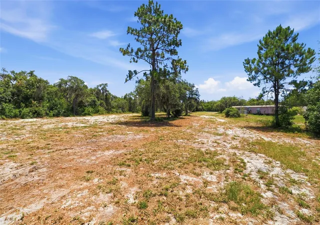 10th image of Hartman Rd, Lake Wales, FL 33898 | MLS# S5151514