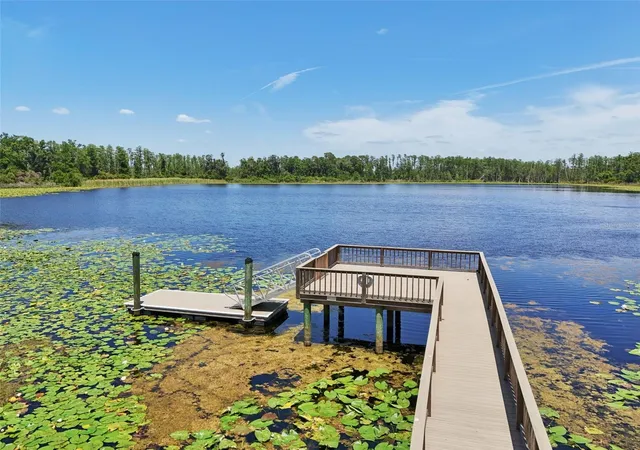 60th image of 1741 Cherry Walk Rd, Lutz, FL 33558 | MLS# TB8517084