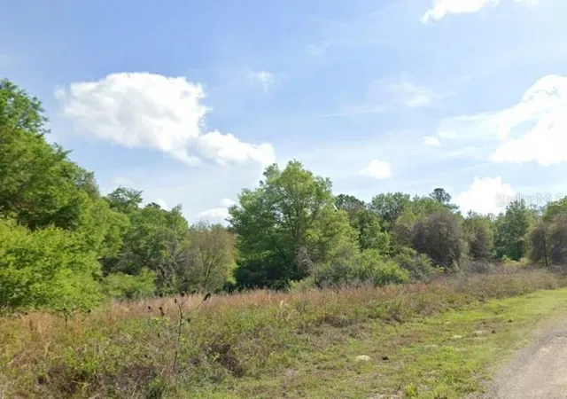 Photo 1 of Land for sale at 7995 N Walton Ter, Dunnellon, FL 34434 | MLS# TB8517116 | Listing updated on 2026-08-14
