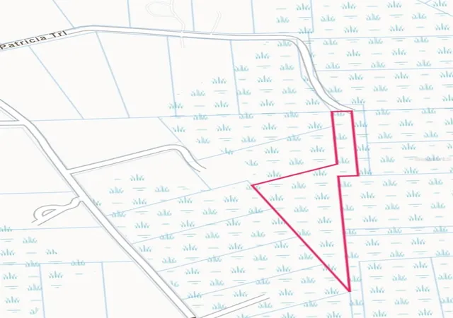 Photo 1 of Land for sale at 0 Patricia Trl, Kissimmee, FL 34747 | MLS# S5151533 | Listing updated on 2026-06-09