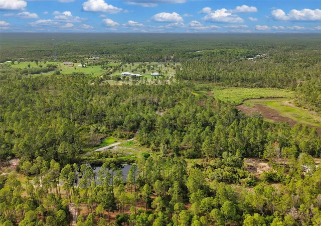 Homes for sale in Steinhatchee, FL | Lukayce Ln, Steinhatchee, FL 32359 | MLS# GC541023