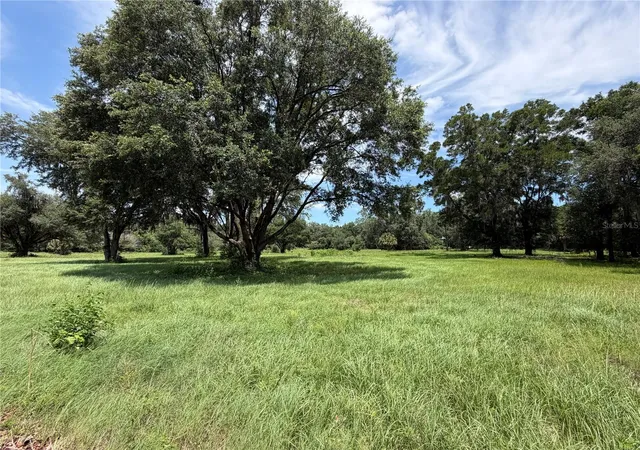 2nd image of 12870 Nw 28th Ave, Reddick, FL 32686 | MLS# OM726266
