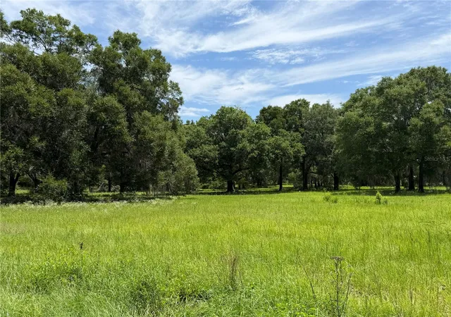 5th image of 12870 Nw 28Th Ave, Reddick, FL 32686 | MLS# OM726266