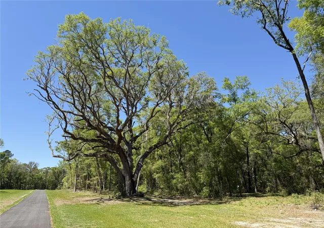1st image of Irvine Acres #5 (13ac) W Hwy 318, Reddick, FL 32686 | MLS# OM726270