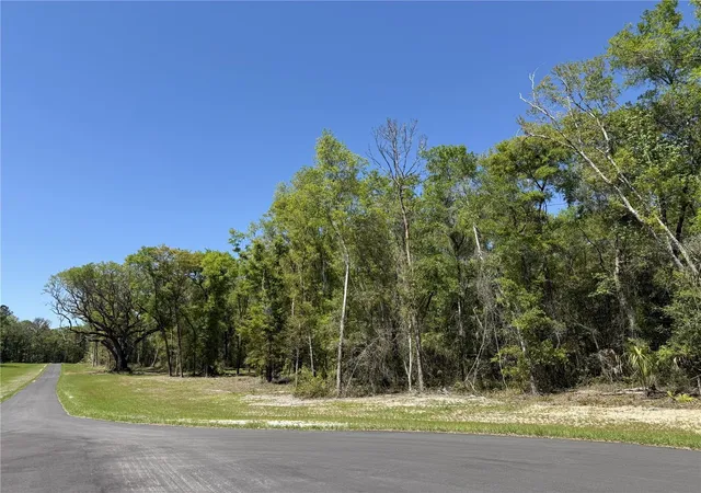 2nd image of Irvine Acres #5 (13ac) W Hwy 318, Reddick, FL 32686 | MLS# OM726270