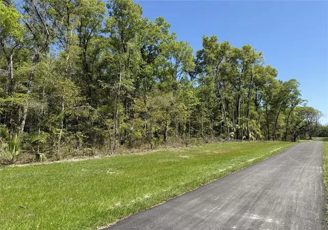 3rd image of Irvine Acres #5 (13Ac) W Hwy 318, Reddick, FL 32686 | MLS# OM726270