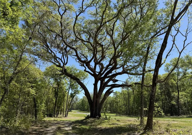 5th image of Irvine Acres #5 (13Ac) W Hwy 318, Reddick, FL 32686 | MLS# OM726270