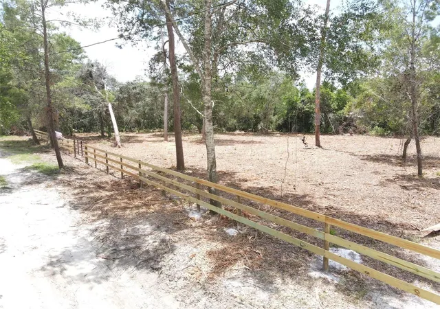Homes for sale in Paisley, FL | W Pine St, Paisley, FL 32767 | MLS# G5113511