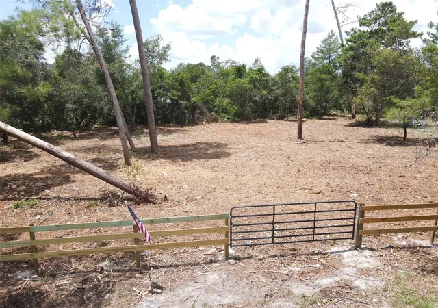 Homes for sale in Paisley, FL | W Pine St, Paisley, FL 32767 | MLS# G5113511