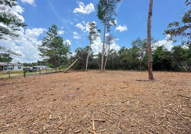 Homes for sale in Paisley, FL | W Pine St, Paisley, FL 32767 | MLS# G5113511