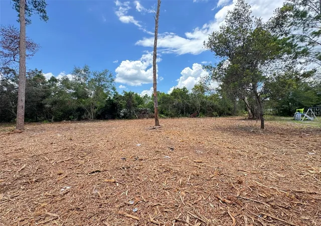 Homes for sale in Paisley, FL | W Pine St, Paisley, FL 32767 | MLS# G5113511