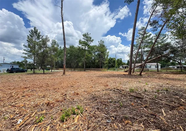 Homes for sale in Paisley, FL | W Pine St, Paisley, FL 32767 | MLS# G5113511