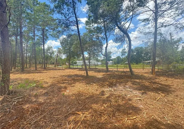 Homes for sale in Paisley, FL | E Pine St, Paisley, FL 32767 | MLS# G5113513