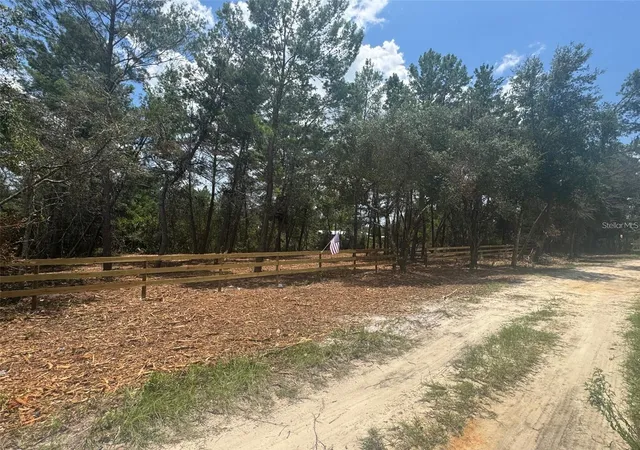 Homes for sale in Paisley, FL | E Pine St, Paisley, FL 32767 | MLS# G5113513