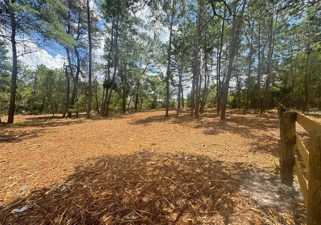 Homes for sale in Paisley, FL | E Pine St, Paisley, FL 32767 | MLS# G5113513