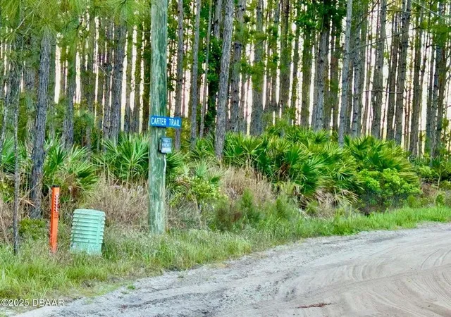 23rd image of 201 Wasick Ln, Ormond Beach, FL 32174 | MLS# V4949549