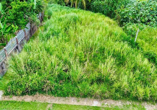 Homes for sale in Ciales, PR | Solar#10, Bloque B, Sector La Linea, Bo Jaguas, Ciales, PR 00638 | MLS# PR9121976