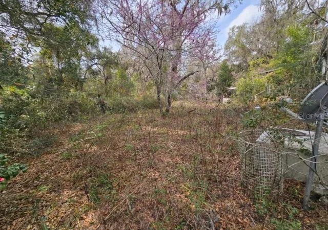 4th image of 4210 Ne 175Th Street Rd, Citra, FL 32113 | MLS# G5113523