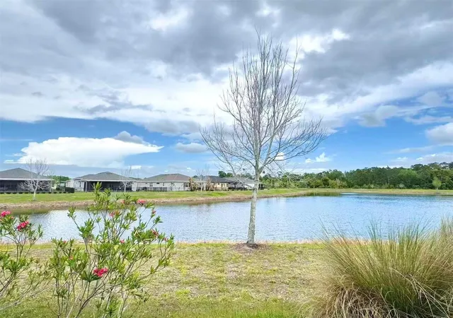 Photo 3 of Single family home for sale at 3434 Sagebrush St, Harmony, FL 34773 | MLS# O6415276 | Listing updated on 2026-10-07