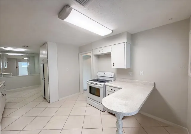 4th image of 1431 Coburn Dr, Tarpon Springs, FL 34689 | MLS# O6415301