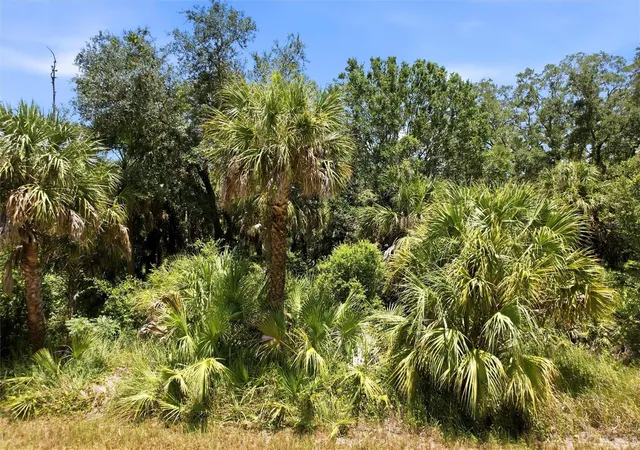 Photo 1 of Land for sale at 18426 Sagamore Ave, Port Charlotte, FL 33954 | MLS# NS1088470 | Listing updated on 2026-06-13