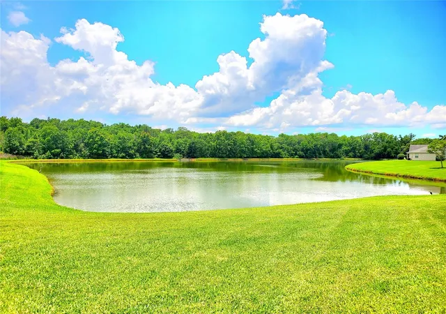 5th image of 25644 Frith St, Land O Lakes, FL 34639 | MLS# TB8517462