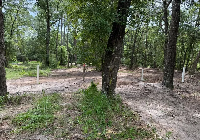 1st image of 15183 Ne 143rd Ter, Waldo, FL 32694 | MLS# GC541046