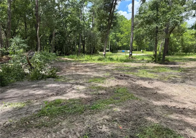image of 15183 Ne 143rd Ter, Waldo, FL 32694 | MLS# GC541046