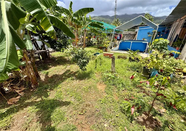 Homes for sale in Naguabo, PR | (Undisclosed), Naguabo, PR 00718 | MLS# PR9121999