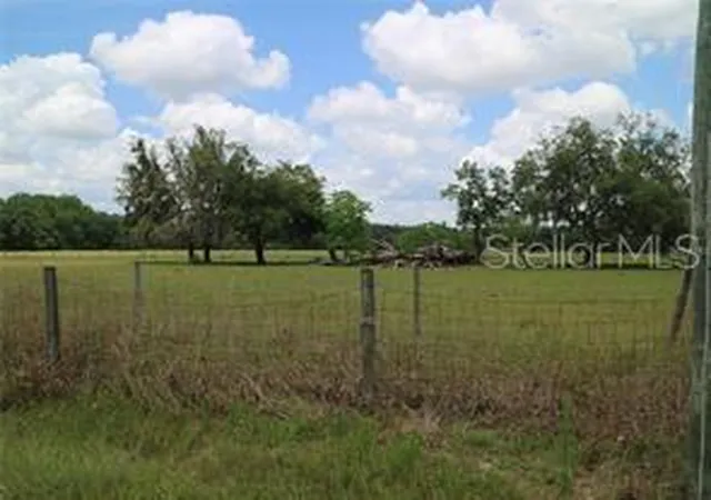 1st image of 11819 Tarpon Springs Rd, Odessa, FL 33556 | MLS# TB8517624