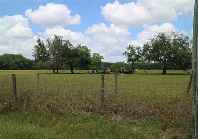 9th image of 11819 Tarpon Springs Rd, Odessa, FL 33556 | MLS# TB8517624