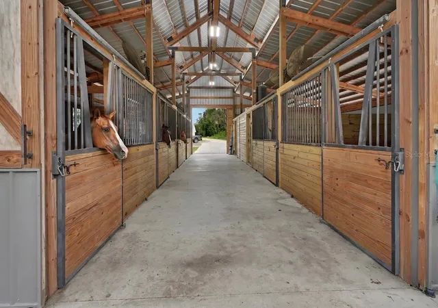 5th image of 4940 State Road 11, De Leon Springs, FL 32130 | MLS# V4949576